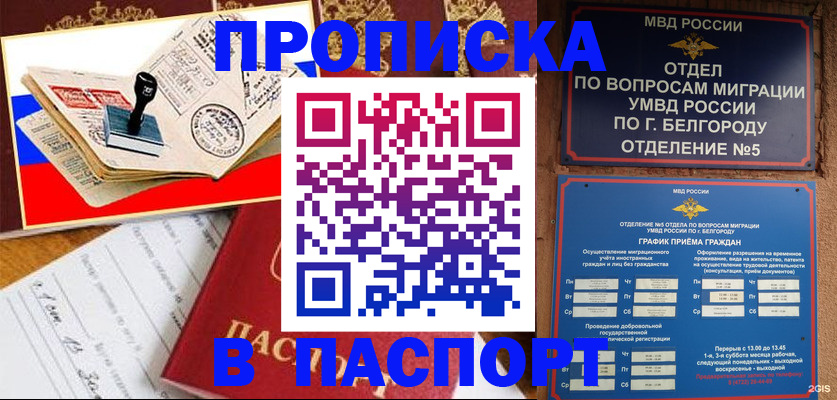 купить прописку в Палласовке